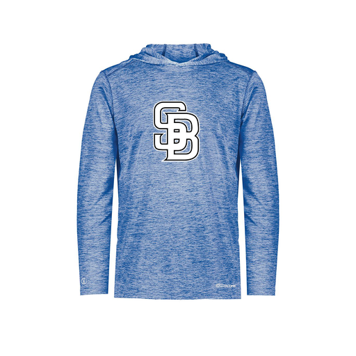 [FOLHCGRY-AS-LOGO1] Decker Men's Charge Hoodie (Adult S, Royal, Logo 1)